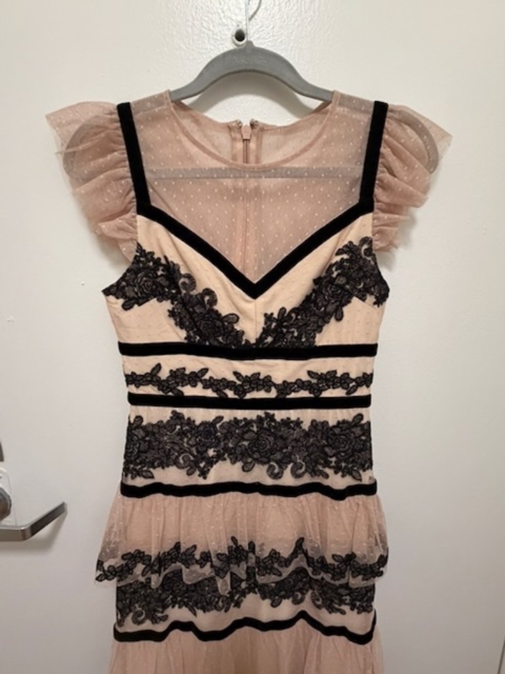 BCBGMAXAZRIA Blush and Black Lace Tiered Gown - Picture 2 of 4